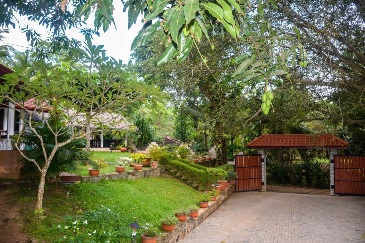 Goyambokka Guesthouse Tangalle Luaran gambar