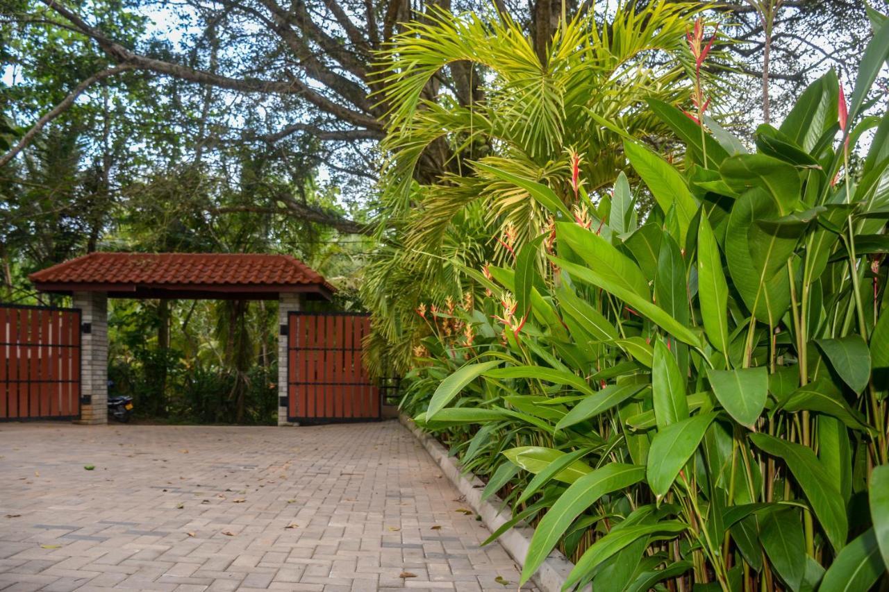 Goyambokka Guesthouse Tangalle Luaran gambar