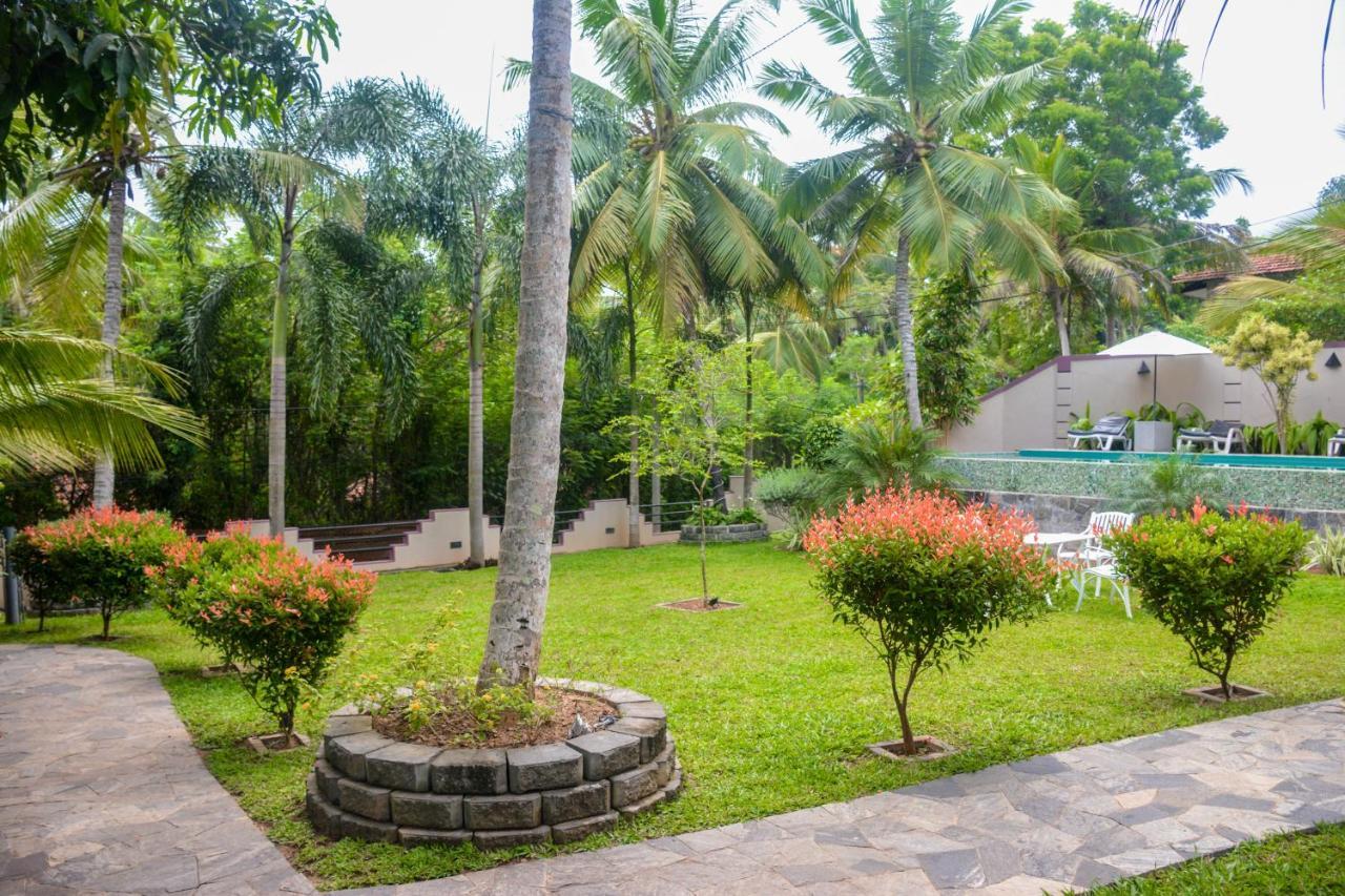 Goyambokka Guesthouse Tangalle Luaran gambar